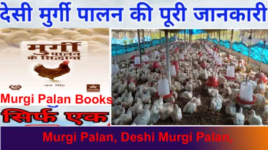 Murgi Palan, Deshi Murgi Palan, देसी मुर्गी पालन, Murgi Palan Loan 2023